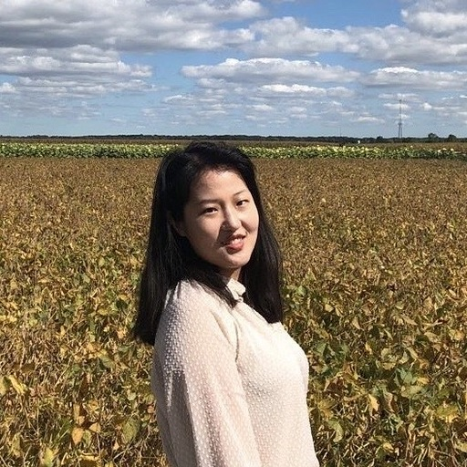 Ye Liu